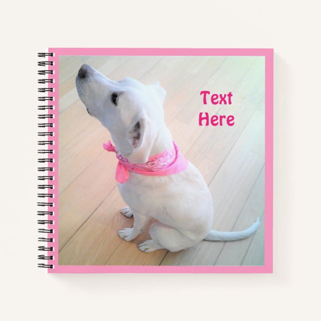 Carnet Chien blanc mignon portant Écharpe rose Cadeau de  (Devant)