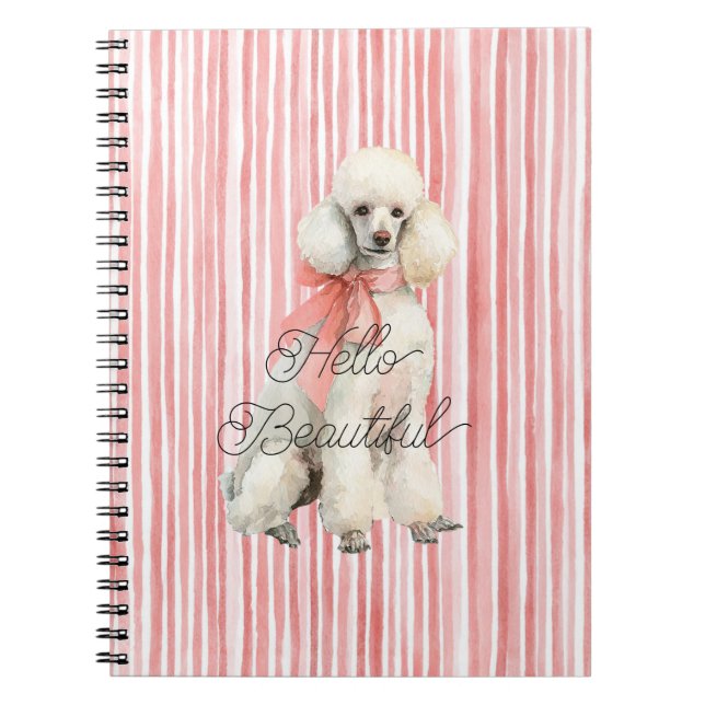 Carnet Chien Caniche Blanc Bonjour Beau (Devant)