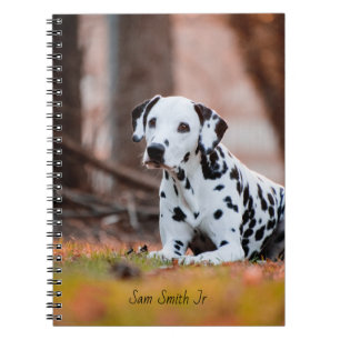 Carnet Chien dalmatien personnalisé