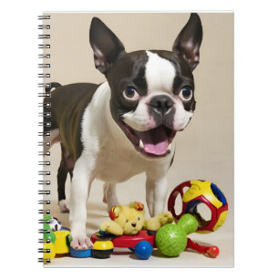 Carnet Chien de Boston Terrier jouant avec des jouets