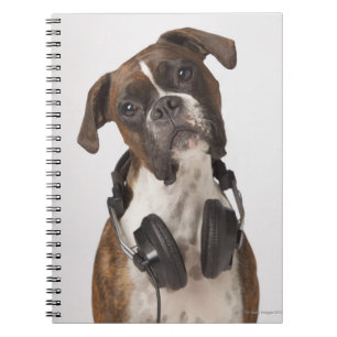 Carnet chien de boxeur avec des écouteurs