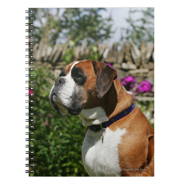 Carnet Chien de boxeur en fleurs (Devant)