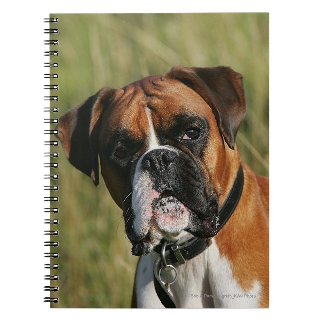 Carnet Chien de boxeur regardant fixement (Devant)