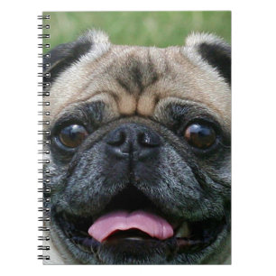 Carnet Chien de carlin