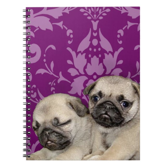 Carnet Chien de chiots carlins (Devant)