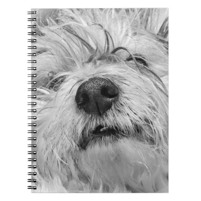 Carnet Chien de Coton de Tulear (Devant)