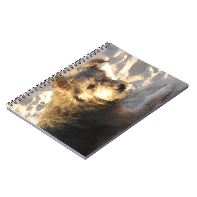 Carnet Chien de plage thaïlandais (Côté gauche)