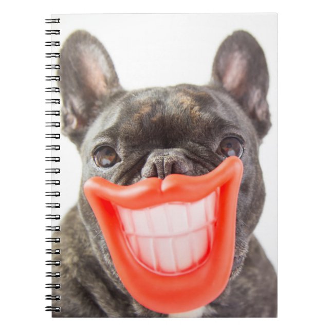 Carnet Chien de sourire des images | A de Getty (Devant)