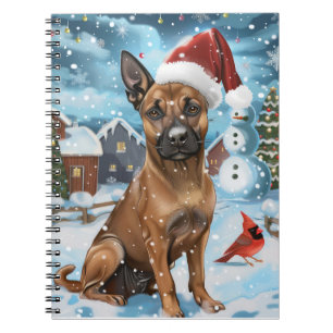 Carnet Chien d'hiver belge Malinoi Wonderland Noël