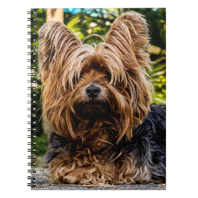 Carnet Chien du Yorkshire Terrier (Devant)