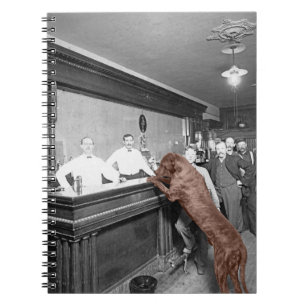 Carnet Chien Friendly Saloon Tavern Bar 1900 Photo