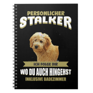 Carnet Chien GoldendoodleGoldendoodle Chien Chien chiot a