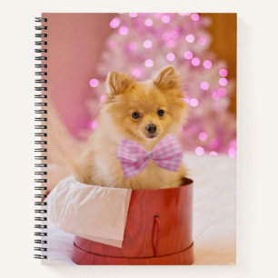 Carnet Chien mignon avec cou rose Photographie de Noël