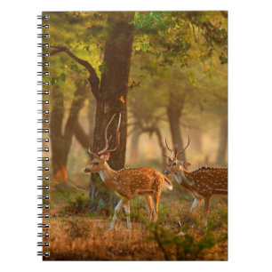 Carnet Chien ou cheetal, axe Axe, cerfs tachetés ou axi