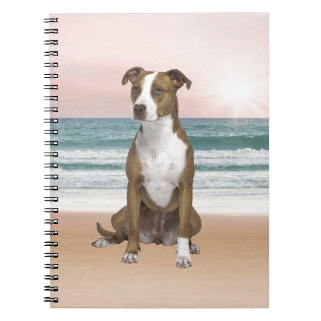 Carnet Chien Pitbull mignon assis sur la plage avec couch (Devant)