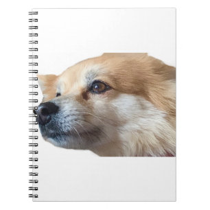 Carnet Chien Pommy Pommie Pet