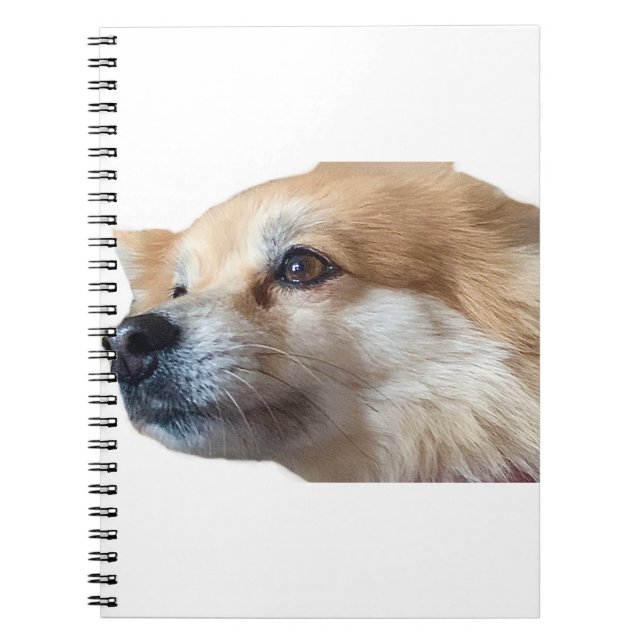 Carnet Chien Pommy Pommie Pet (Devant)
