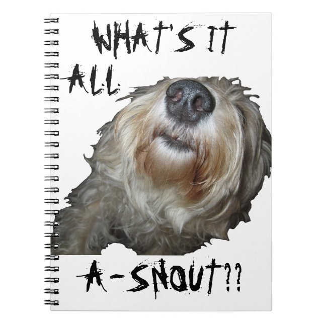 Carnet Chien "QU'EST-CE QUE C'EST QUE DE LA NEIGE ? ?" Ca (Devant)