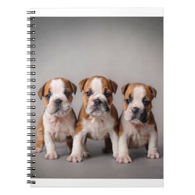 Carnet Chiens de taupe mignons | Cadeau Amoureux des chie (Devant)