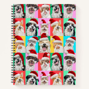 Carnet Chiens et chats avec barbe de Père Noël