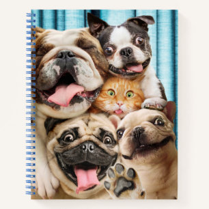 Carnet Chiens et photo d'un groupe de chats