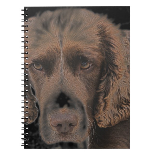 Carnet Chiens Springer anglais (Devant)