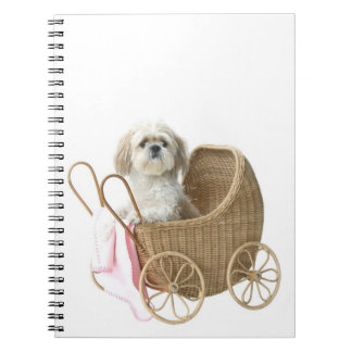 Carnet Chih Tzu