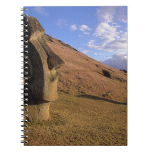 Carnet Chili, Île de Pâques. Colline avec Moai