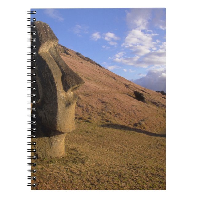 Carnet Chili, Île de Pâques. Colline avec Moai (Devant)