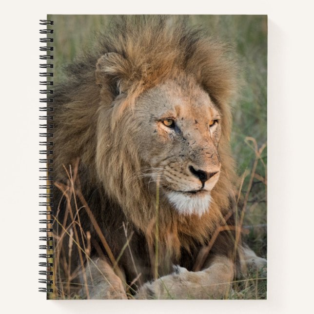 Carnet Chill Lion Personnaliser le nom (Devant)