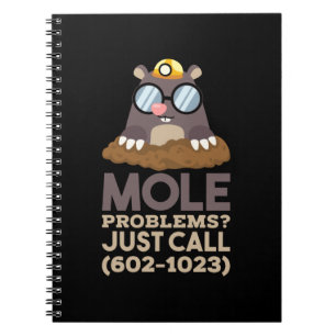 Carnet Chimie - Problèmes de Mole