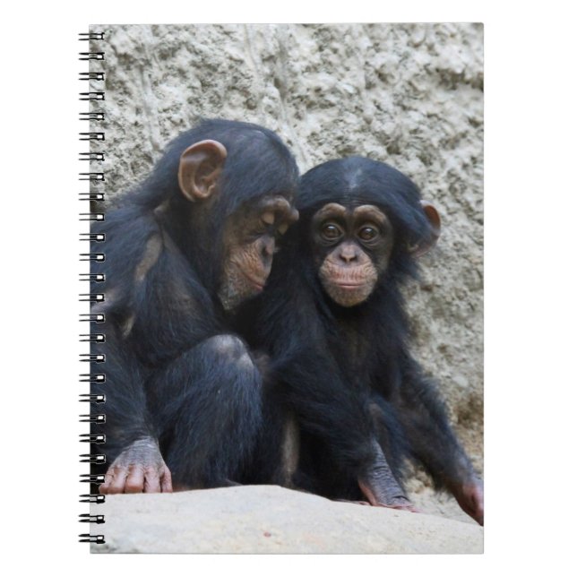Carnet Chimpanzé 002 (Devant)