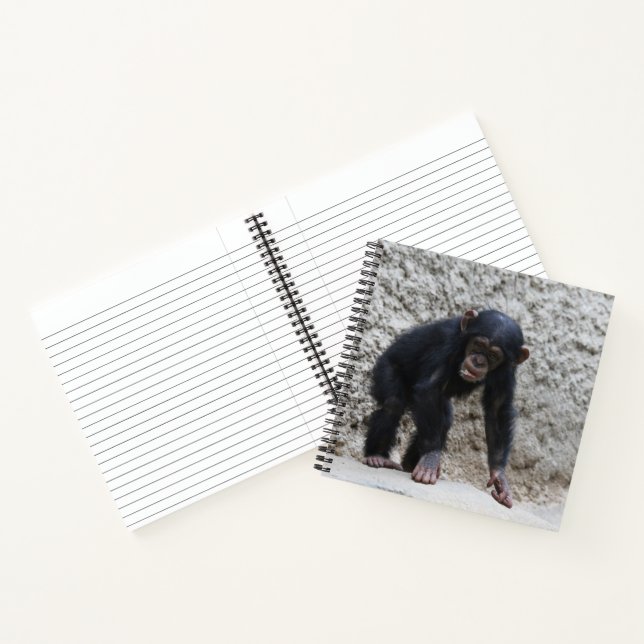Carnet Chimpanzé 031 (Intérieur)