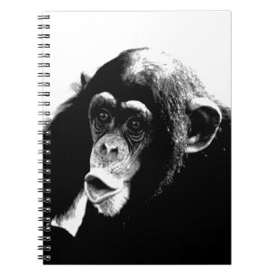 Carnet Chimpanzé noir et blanc