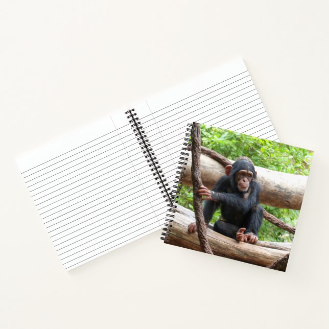 Carnet Chimpanzée 001 (Intérieur)