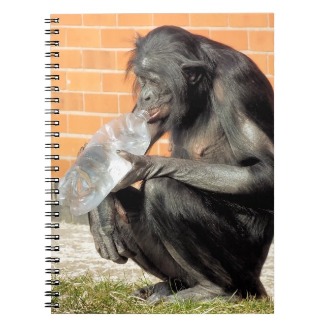 CARNET CHIMPANZEE CUTE (Devant)