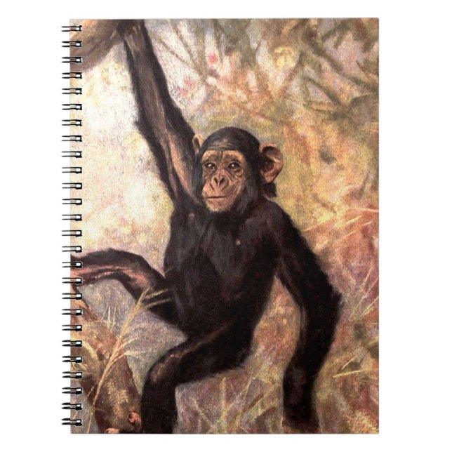 Carnet chimpanzeehangingintree002_original (Devant)