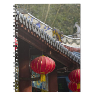 Carnet CHINE, province de Chongqing, Fengdu. Fantôme de F