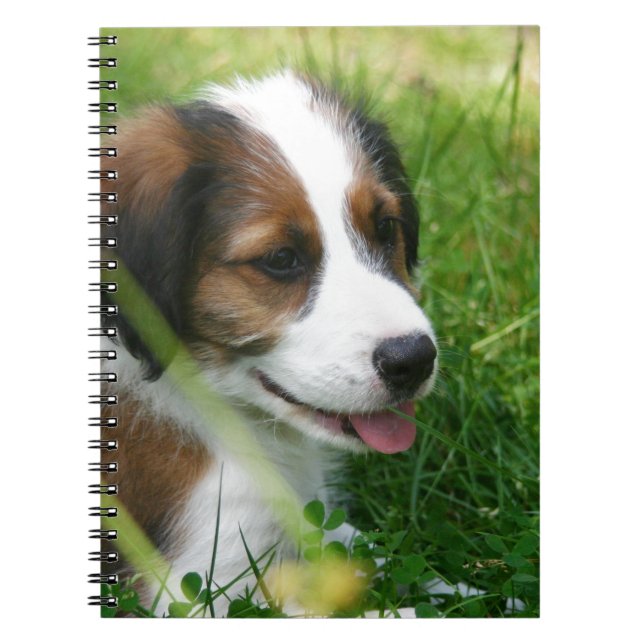 Carnet Chiot (Devant)