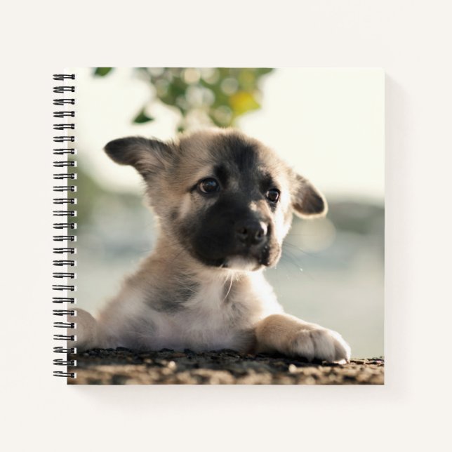 Carnet Chiot allemand sur la haie (Devant)