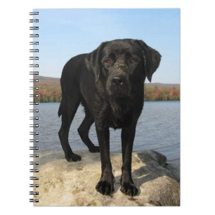 Carnet Chiot Amoureux des chiens du Labrador noir
