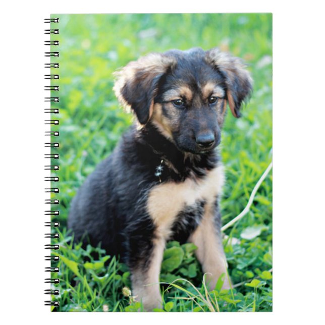 Carnet Chiot berger allemand (Devant)