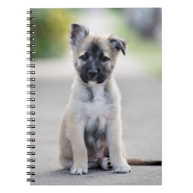 Carnet Chiot berger allemand sur le sentier (Devant)