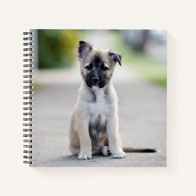 Carnet Chiot berger allemand sur le sentier (Devant)