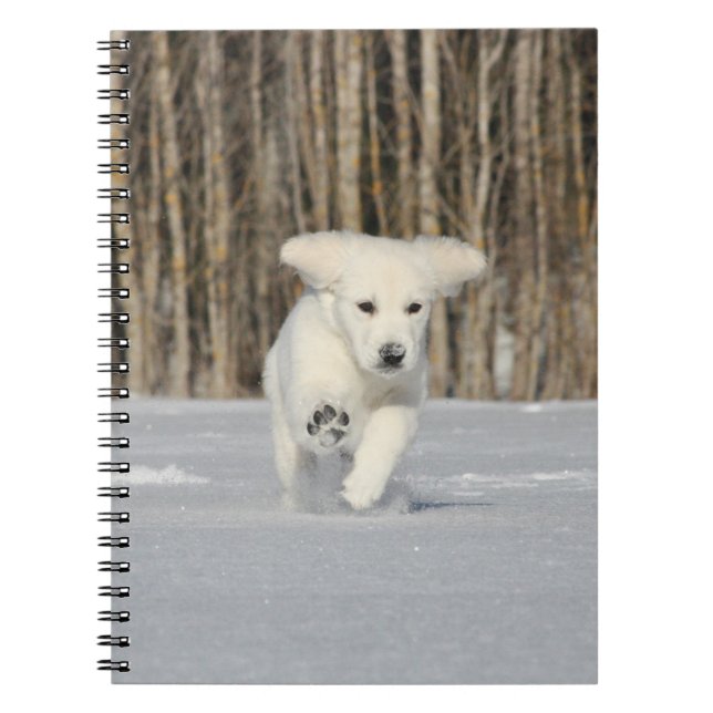 Carnet Chiot blanc Golden Retriever en neige (Devant)