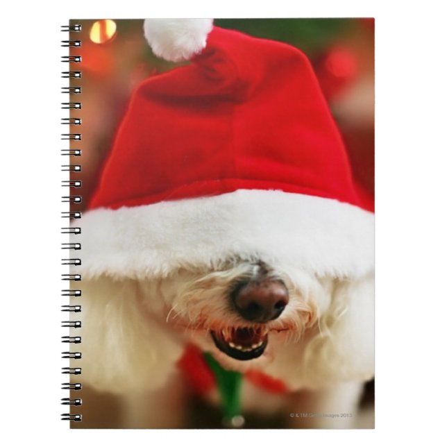 Carnet Chiot de Bichon Frise utilisant le costume de Père (Devant)