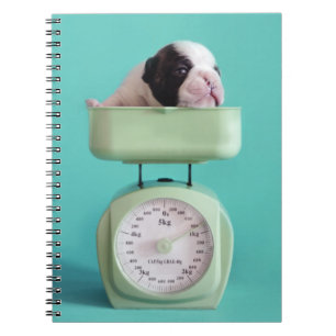 Carnet Chiot de bouledogue français
