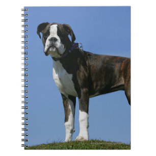 Carnet Chiot de boxeur de bébé de 3 mois
