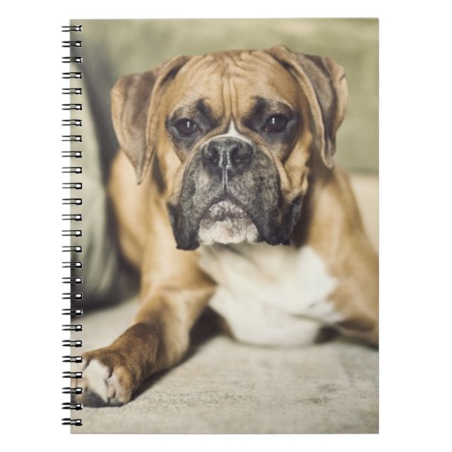 Carnet Chiot de boxeur de faon (Devant)