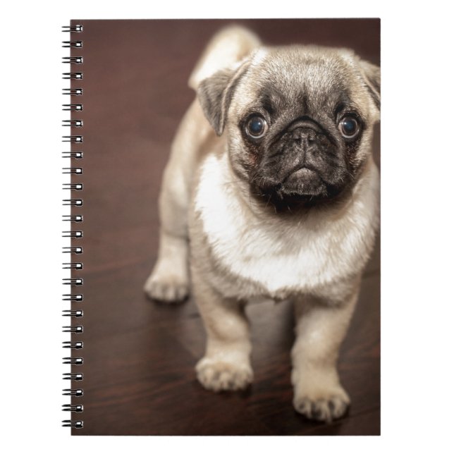 Carnet Chiot de carlin (Devant)